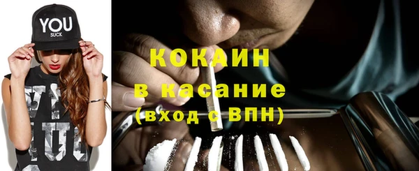 прущие грибы Абдулино