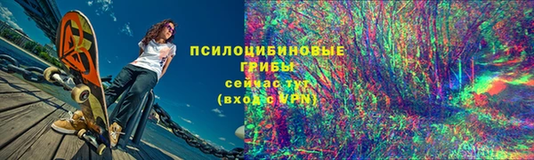 прущие грибы Абдулино
