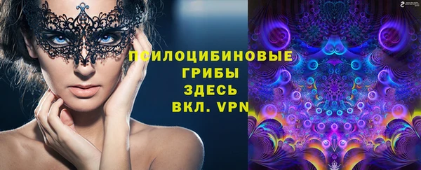 ПСИЛОЦИБИНОВЫЕ ГРИБЫ Абинск
