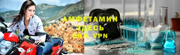 прущие грибы Абдулино