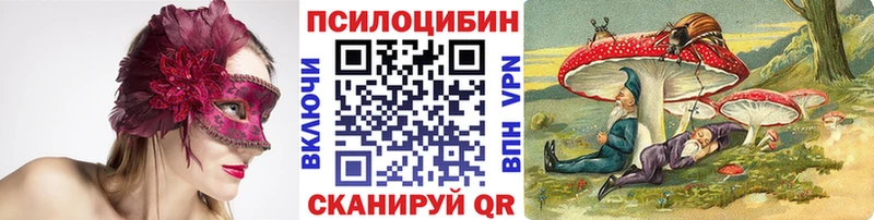 Псилоцибиновые грибы мицелий  Стерлитамак 