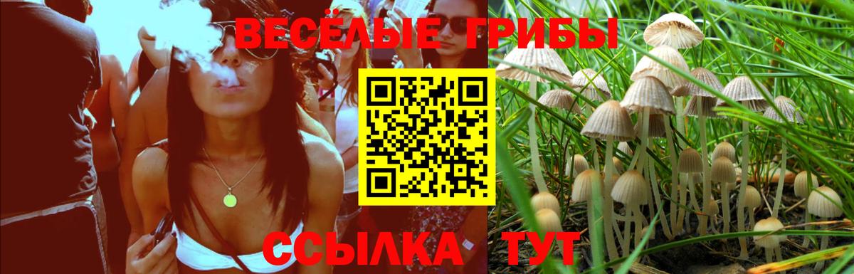 Псилоцибиновые грибы Psilocybe  Псилоцибиновые грибы MAGIC MUSHROOMS  Вход с VPN  Стерлитамак 